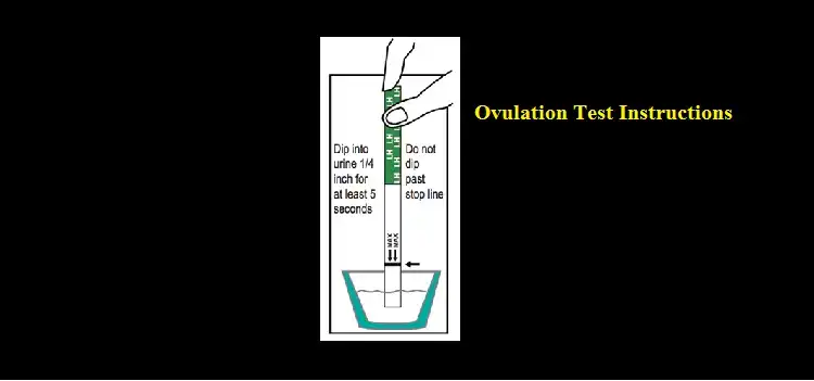 Ovulation Test Instructions | For positive, negative, and invalid result